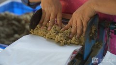 经济大省挑大梁·高手正在“平易近”间｜久久为