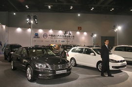 北京中进众旺携进口大众新车亮相进口车展